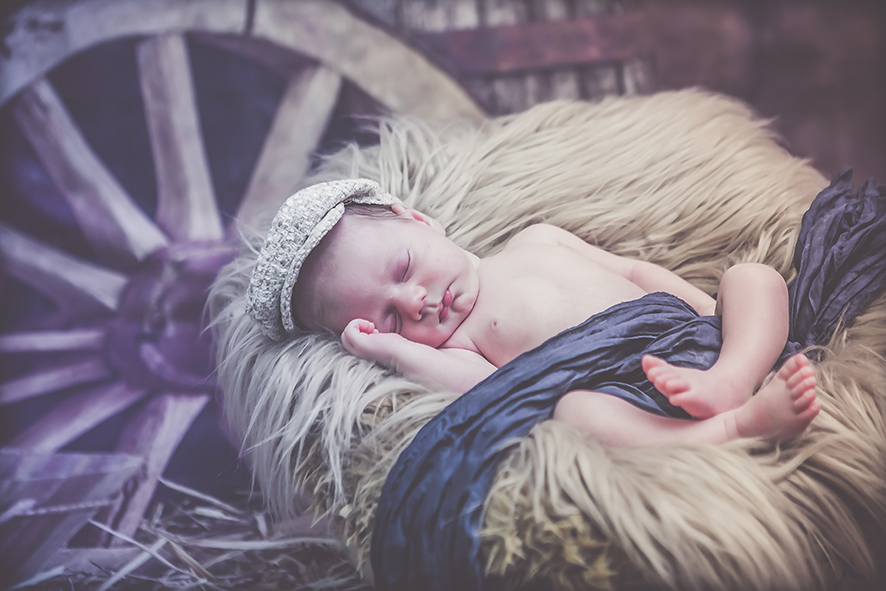 צילומי ניו בורן רקע אסם