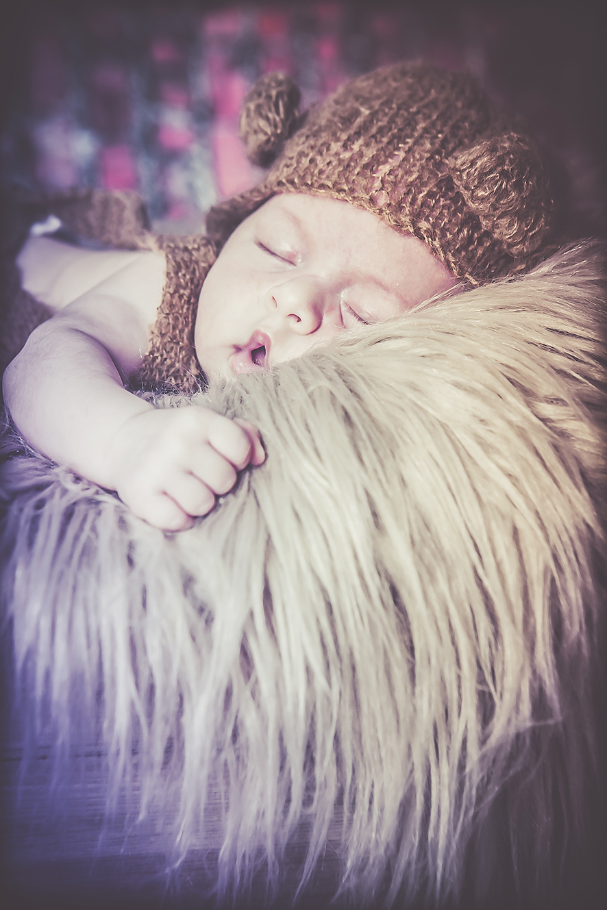 צילום ניו בורן פרווה חומה