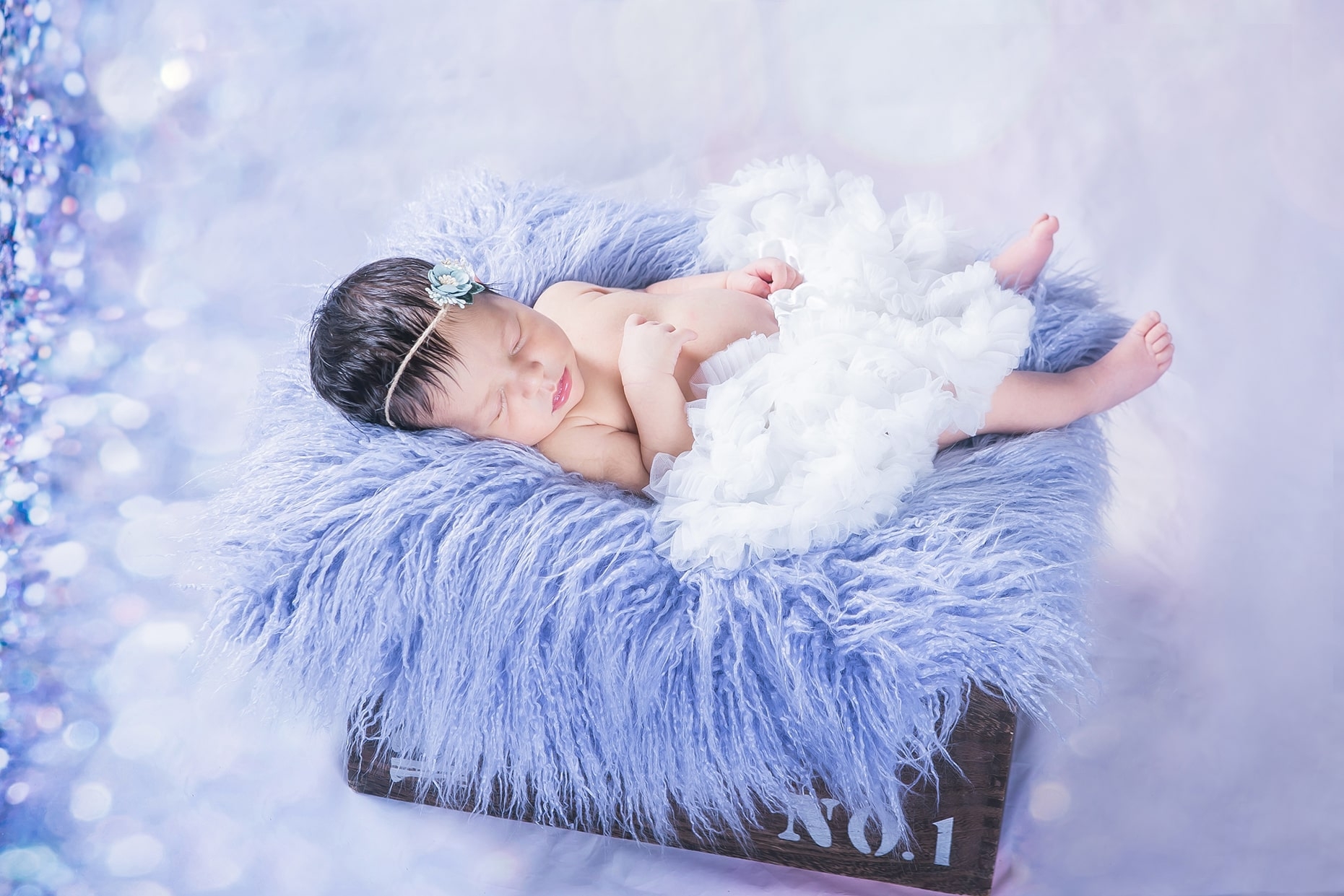 צילומי ניו בורן בסטודיו רקע סגול בתיבה