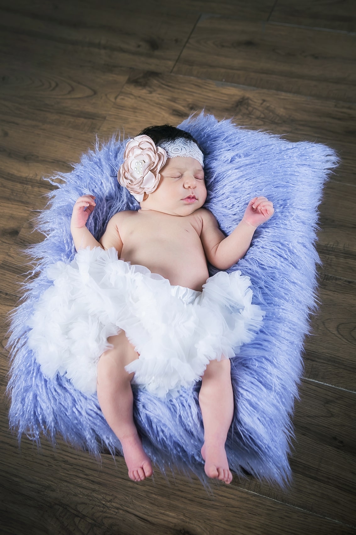 צילום ניו בורן רקע עץ