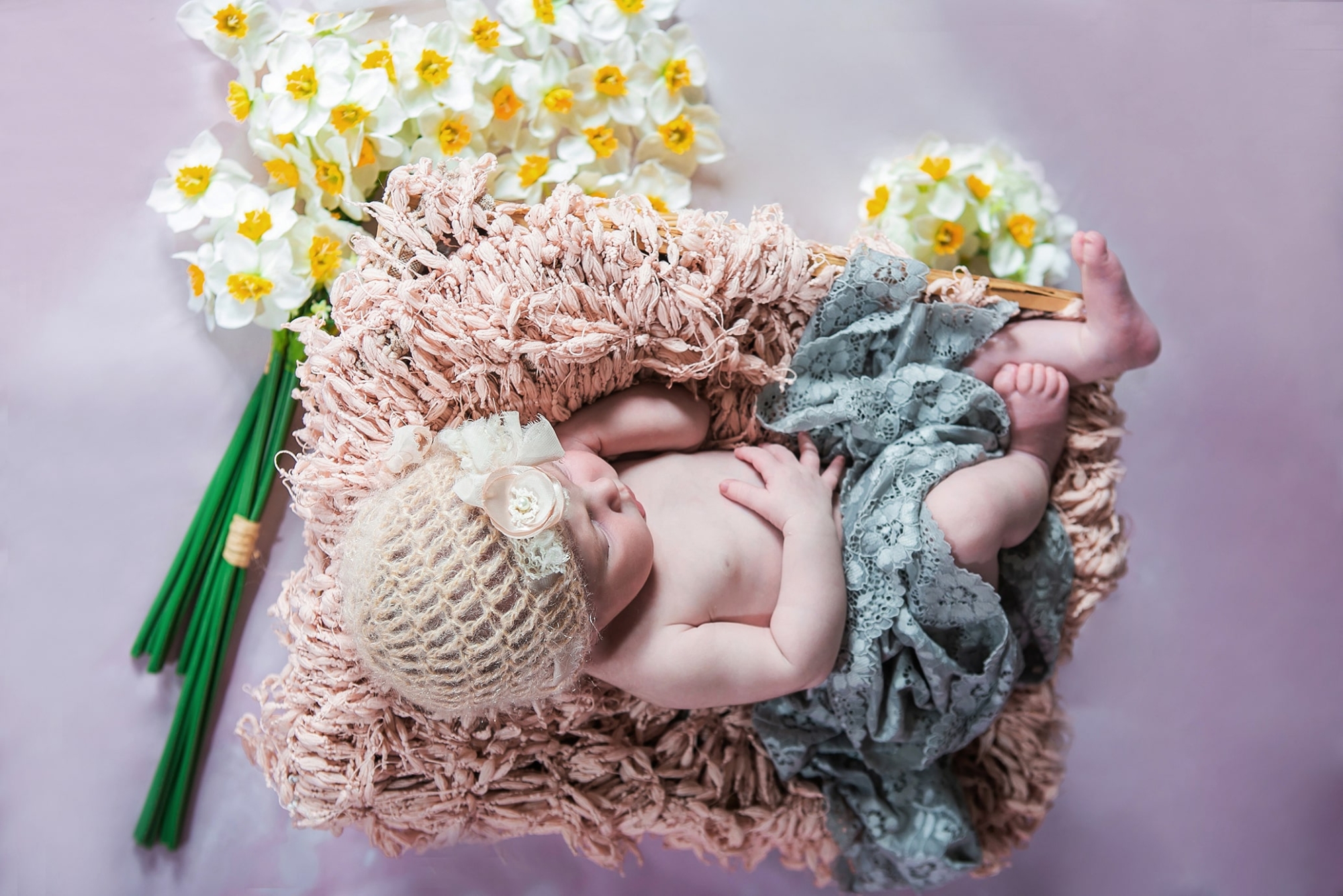 צילום ניו בורן נרקיסים