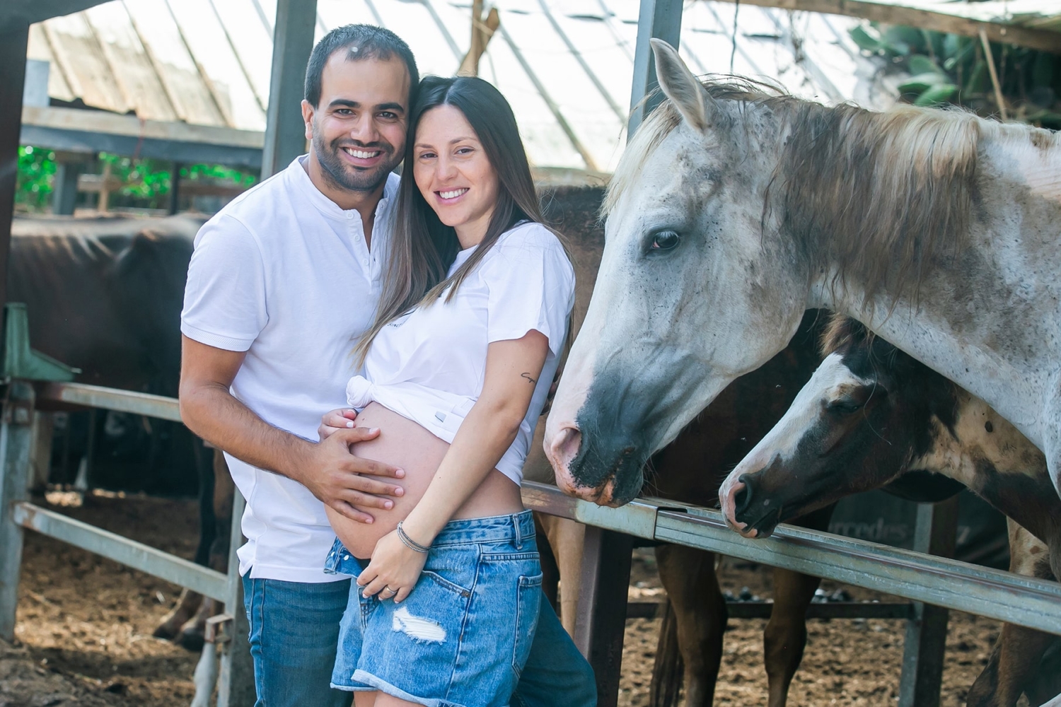 צילומי הריון זוגיים עם סוסים