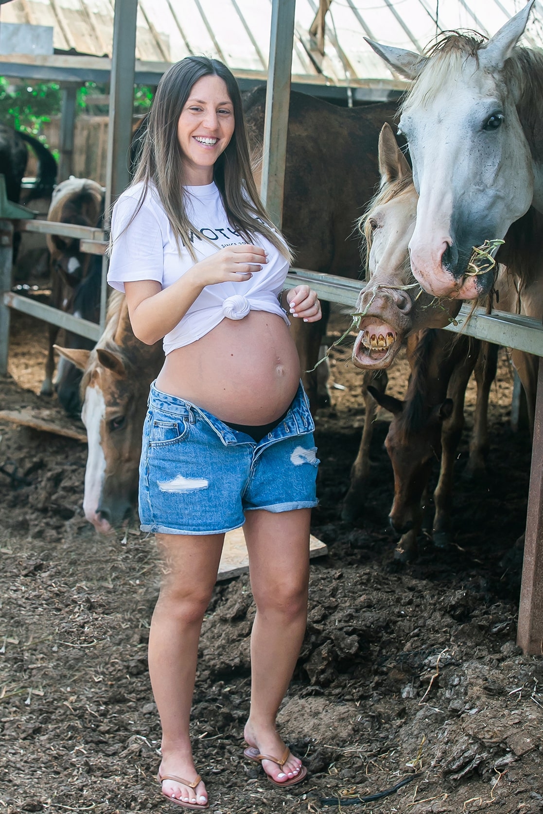 צילום הריון בכפר עם סוסים